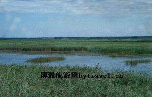 西洼荒省级湿地自然保护区