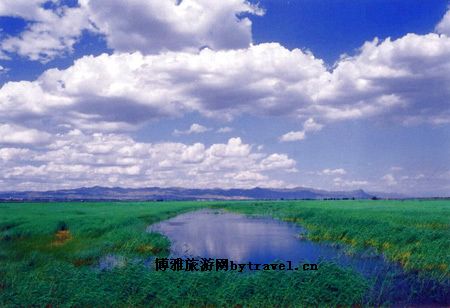 新世纪青年生态园