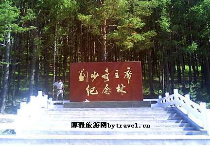 -主席纪念林