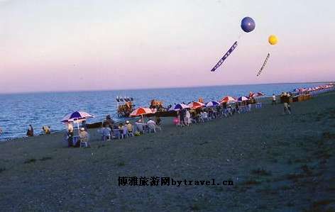 金海岸