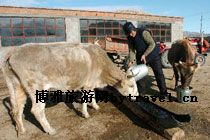 哈克火车站