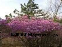 杜鹃山景区
