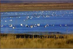 达里诺尔旅游区