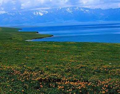 黄花旅游区