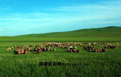 辉腾锡勒铁骑旅游中心