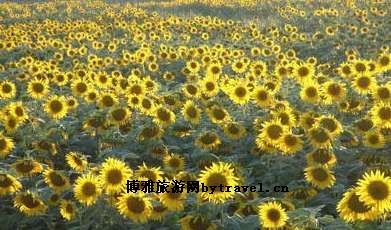 康尔徕生态园