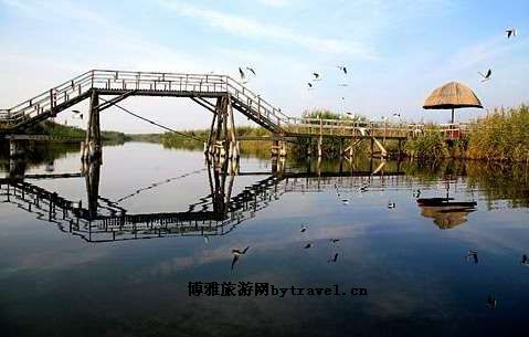 乌梁素海