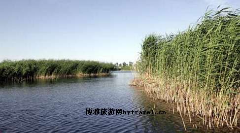 纳林湖