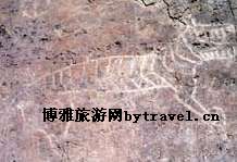 苏白音后沟岩画