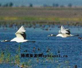 二龙山龙王湖