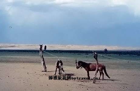 湿地黄草湖