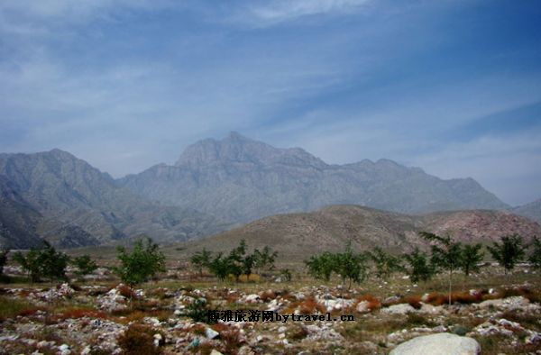 贺兰山原始森林