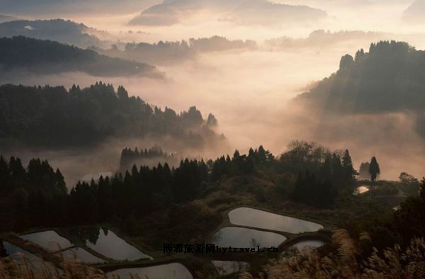 金水园