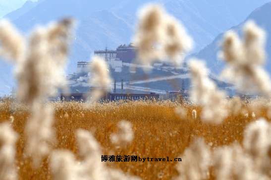 娘热民俗风情园