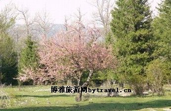 丹萨梯寺