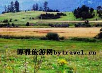 鲁郎-
