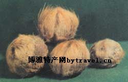 ѩ
