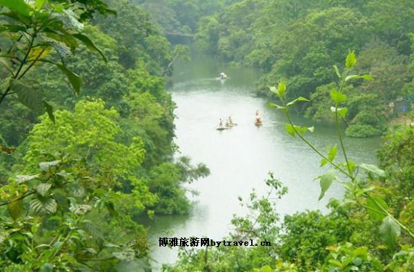 龙虎山自然保护区