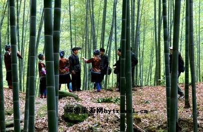 龙女沟