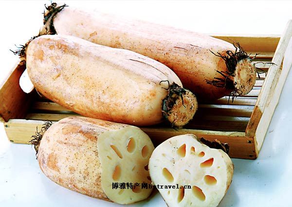 贵港莲藕