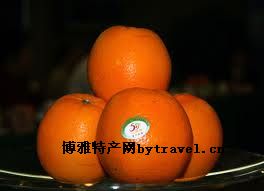 富川脐橙