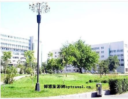 新疆大学
