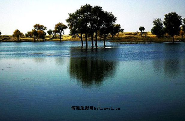 塔里木河漂流探险旅游区
