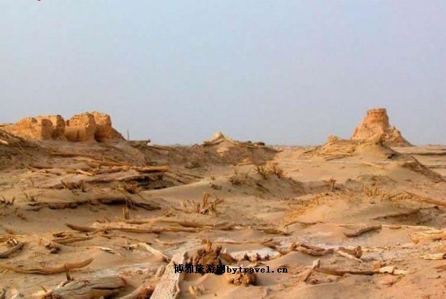 胡杨生态园