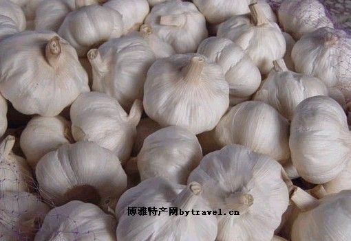 白皮大蒜