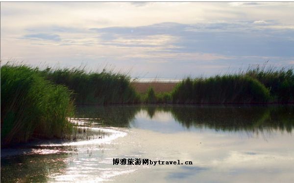 艾比湖